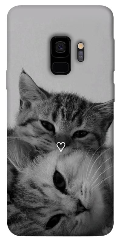 Чохол itsPrint Grey cats для Samsung Galaxy S9, тварини, купити оптом з доставкою