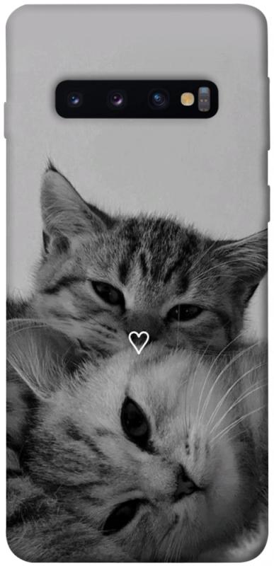 Чехол itsPrint Grey cats для Samsung Galaxy S10, котики, купить оптом с доставкой