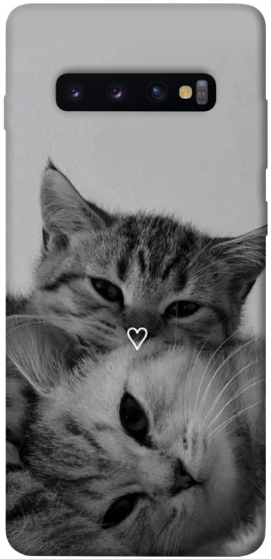 Чехол itsPrint Grey cats для Samsung Galaxy S10+, животные, купить оптом с доставкой