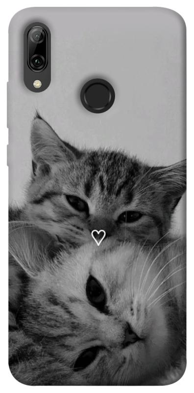 Чехол itsPrint Grey cats для Huawei P Smart (2019), животные, купить оптом с доставкой