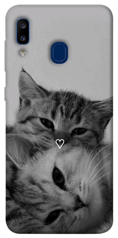 Чехол itsPrint Grey cats для Samsung Galaxy A20 / A30, животные, купить оптом с доставкой
