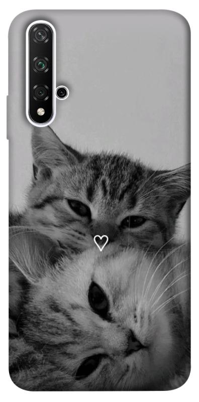 Чохол itsPrint Grey cats для Huawei Honor 20 / Nova 5T, котики, купити оптом з доставкою