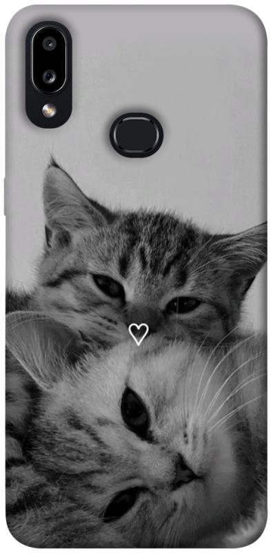 Чехол itsPrint Grey cats для Samsung Galaxy A10s, животные, купить оптом с доставкой