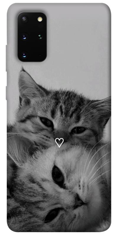 Чехол itsPrint Grey cats для Samsung Galaxy S20+, котики, купить оптом с доставкой