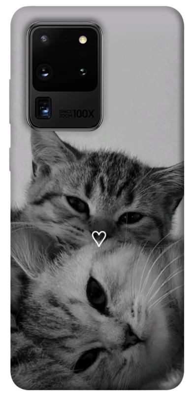 Чехол itsPrint Grey cats для Samsung Galaxy S20 Ultra, животные, купить оптом с доставкой