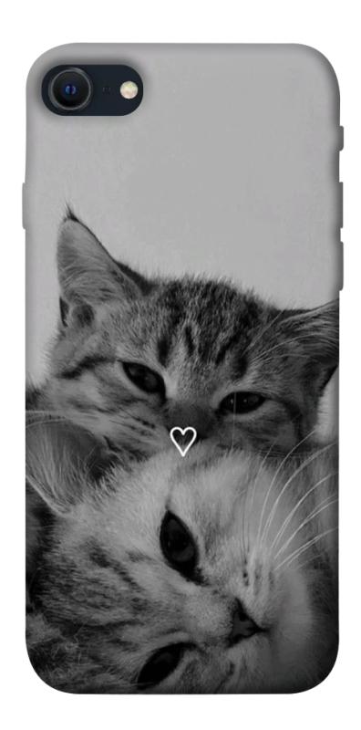 Чехол itsPrint Grey cats для Apple iPhone SE (2020), животные, купить оптом с доставкой