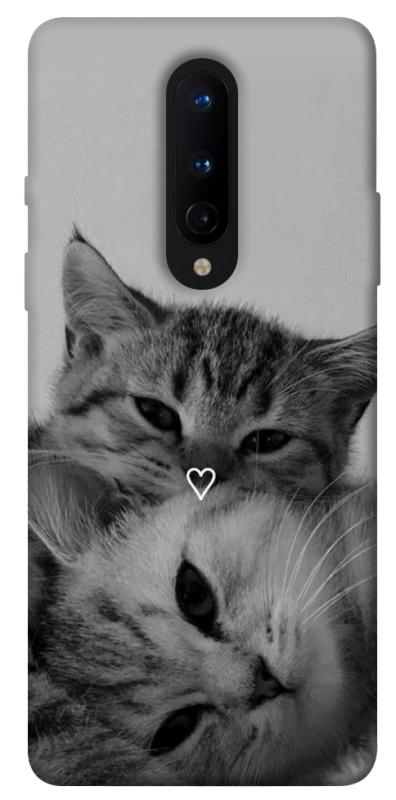 Чохол itsPrint Grey cats для OnePlus 8, котики, купити оптом з доставкою