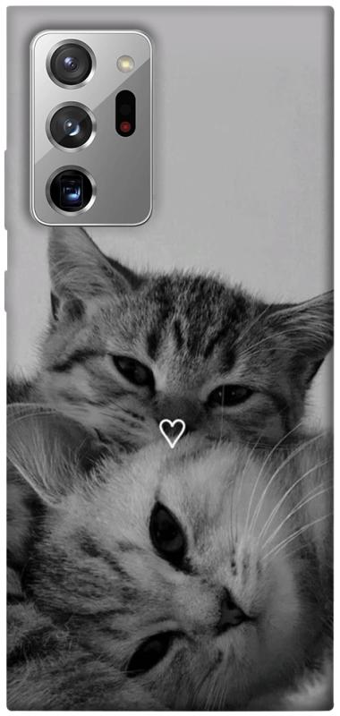 Чехол itsPrint Grey cats для Samsung Galaxy Note 20 Ultra, животные, купить оптом с доставкой