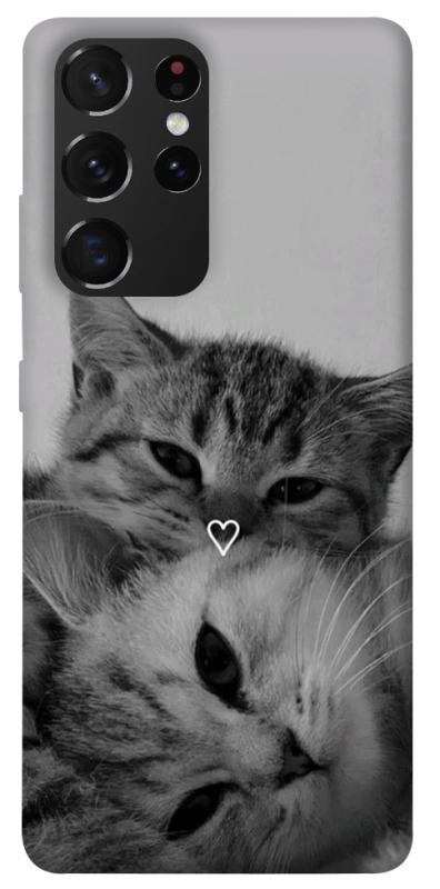 Чохол itsPrint Grey cats для Samsung Galaxy S21 Ultra, котики, купити оптом з доставкою