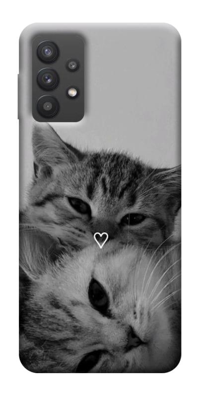 Чехол itsPrint Grey cats для Samsung Galaxy A32 (A326B) 5G, котики, купить оптом с доставкой