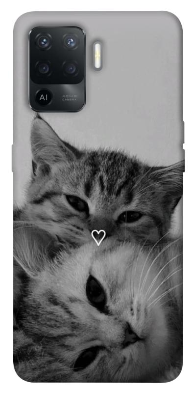 Чохол itsPrint Grey cats для Oppo Reno 5 Lite, котики, купити оптом з доставкою