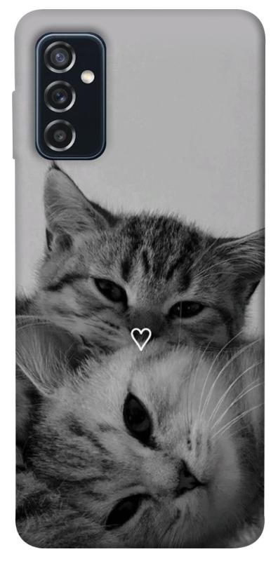 Чохол itsPrint Grey cats для Samsung Galaxy M52, котики, купити оптом з доставкою