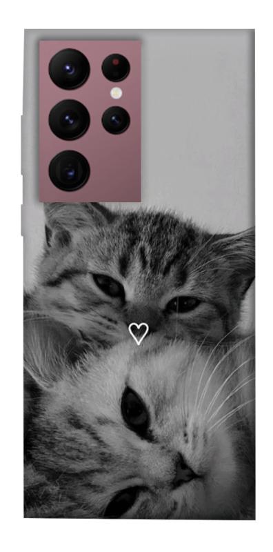 Чехол itsPrint Grey cats для Samsung Galaxy S22 Ultra, животные, купить оптом с доставкой