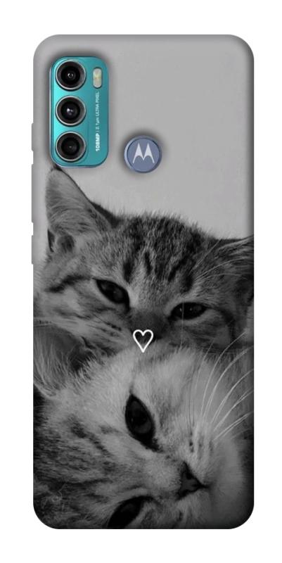 Чохол itsPrint Grey cats для Motorola Moto G60, тварини, купити оптом з доставкою