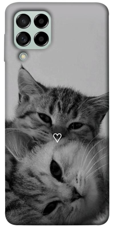 Чехол itsPrint Grey cats для Samsung Galaxy M53 5G, котики, купить оптом с доставкой