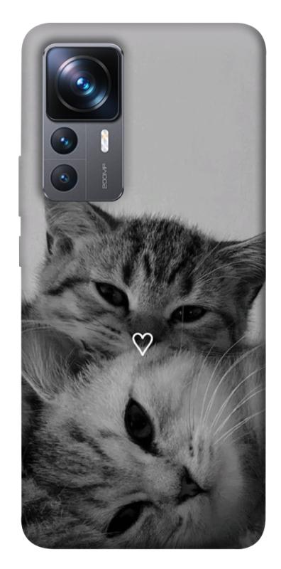 Чохол itsPrint Grey cats для Xiaomi 12T / 12T Pro, котики, купити оптом з доставкою