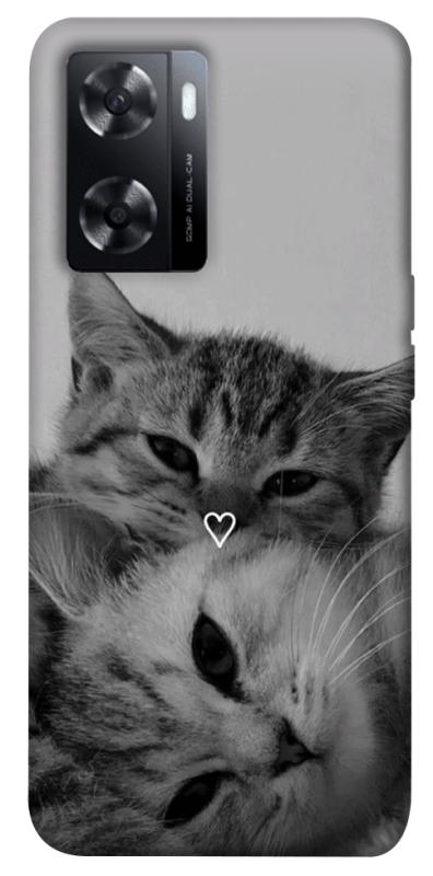 Чехол itsPrint Grey cats для Oppo A57s, котики, купить оптом с доставкой