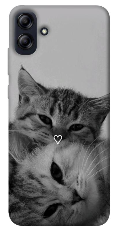 Чехол itsPrint Grey cats для Samsung Galaxy A04e, животные, купить оптом с доставкой
