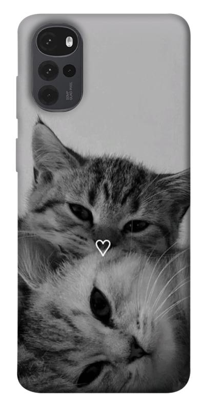 Чехол itsPrint Grey cats для Motorola Moto G22, котики, купить оптом с доставкой