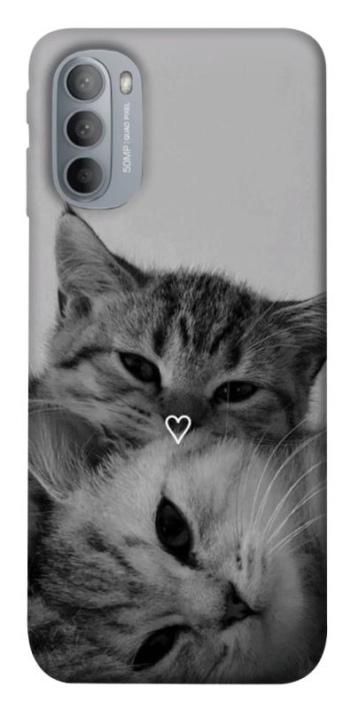 Чехол itsPrint Grey cats для Motorola Moto G31, котики, купить оптом с доставкой