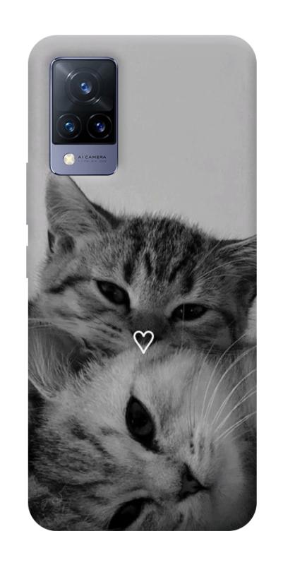 Чохол itsPrint Grey cats для Vivo V21, тварини, купити оптом з доставкою