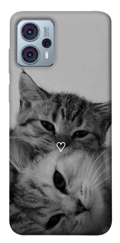 Чехол itsPrint Grey cats для Motorola Moto G23, животные, купить оптом с доставкой