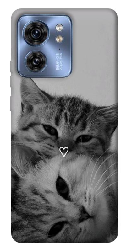 Чехол itsPrint Grey cats для Motorola Edge 40, животные, купить оптом с доставкой