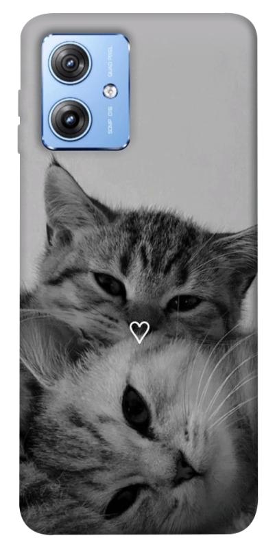 Чохол itsPrint Grey cats для Motorola Moto G84, тварини, купити оптом з доставкою
