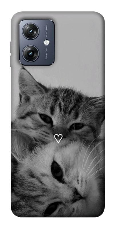 Чехол itsPrint Grey cats для Motorola Moto G54, животные, купить оптом с доставкой