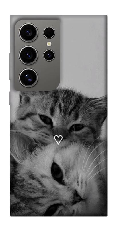 Чехол itsPrint Grey cats для Samsung Galaxy S24 Ultra, животные, купить оптом с доставкой