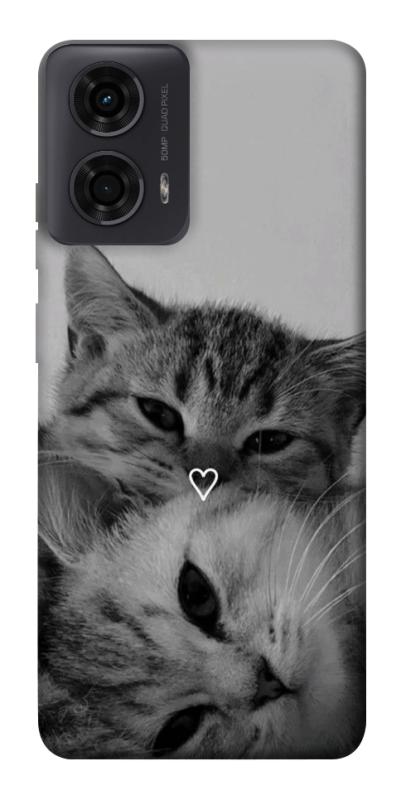 Чехол itsPrint Grey cats для Motorola Moto G24, котики, купить оптом с доставкой