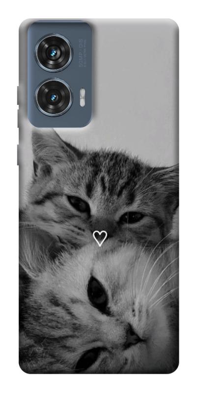 Чохол itsPrint Grey cats для Motorola Edge 50 Fusion, тварини, купити оптом з доставкою