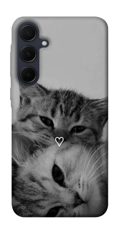 Чехол itsPrint Grey cats для Samsung Galaxy A55, животные, купить оптом с доставкой