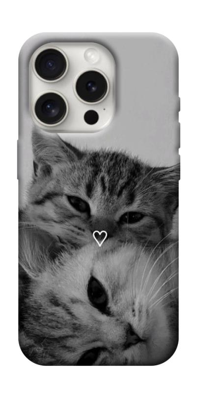 Чехол itsPrint Grey cats для Apple iPhone 16 Pro (6.3"), животные, купить оптом с доставкой