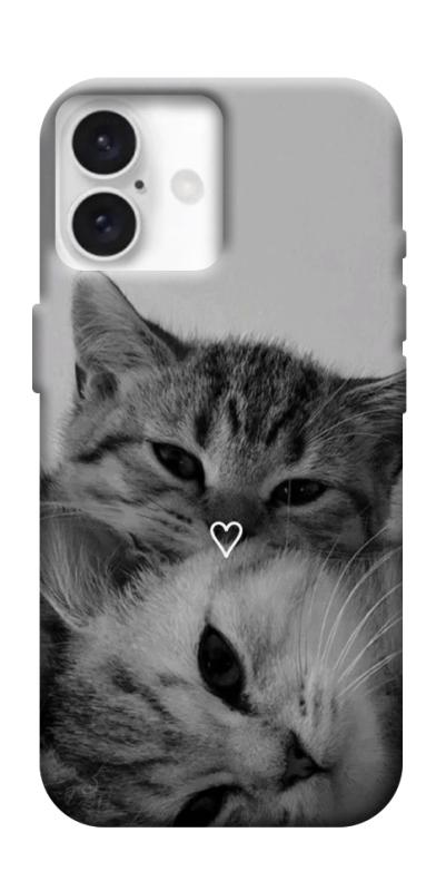 Чехол itsPrint Grey cats для Apple iPhone 16 Plus (6.7"), животные, купить оптом с доставкой