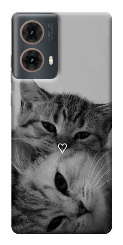 Чохол itsPrint Grey cats для Motorola Moto G85, котики, купити оптом з доставкою