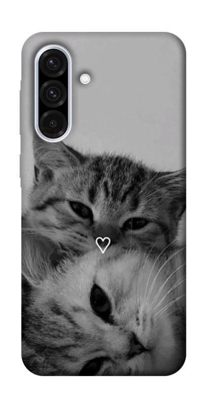 Чехол itsPrint Grey cats для Samsung Galaxy A36 5G, животные, купить оптом с доставкой