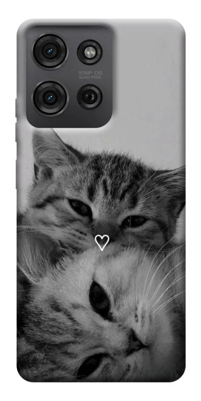 Чехол itsPrint Grey cats для Motorola Moto G75 5G, животные, купить оптом с доставкой