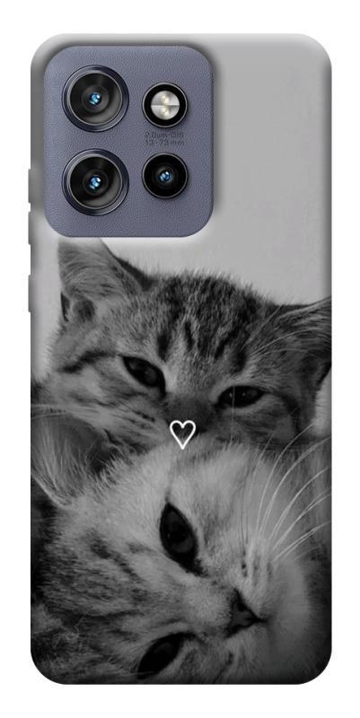 Чехол itsPrint Grey cats для Motorola Edge 50 Neo, котики, купить оптом с доставкой