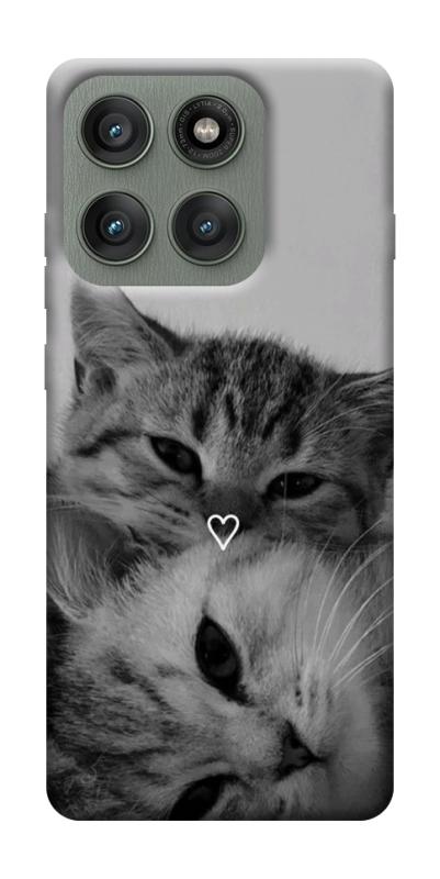 Чехол itsPrint Grey cats для Motorola Edge 60 Pro, котики, купить оптом с доставкой