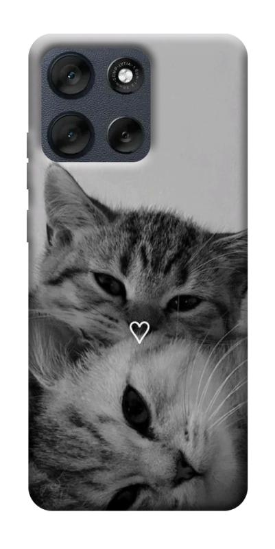 Чехол itsPrint Grey cats для Motorola Moto G56 5G, животные, купить оптом с доставкой