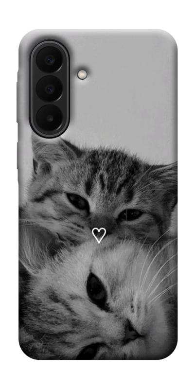 Чохол itsPrint Grey cats для Samsung Galaxy A27, тварини, купити оптом з доставкою