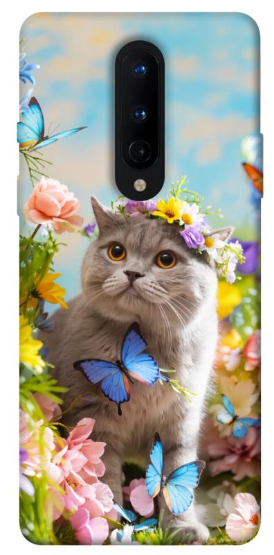 Чохол itsPrint Spring cat для OnePlus 8, тварини, купити оптом з доставкою