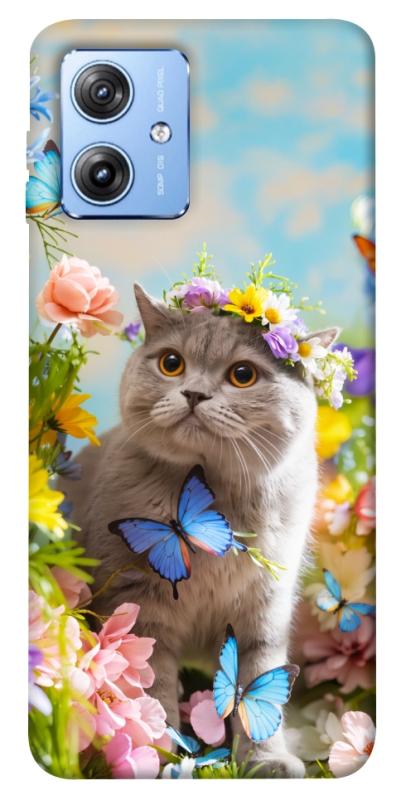 Чохол itsPrint Spring cat для Motorola Moto G84, тварини, купити оптом з доставкою