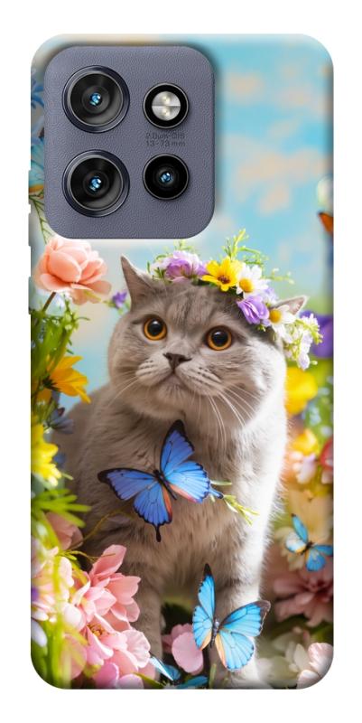 Чехол itsPrint Spring cat для Motorola Edge 50 Neo, животные, купить оптом с доставкой