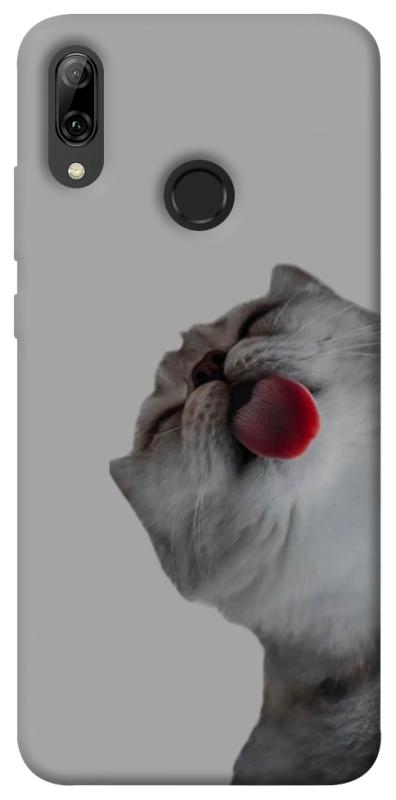 Чехол itsPrint Washing time для Huawei P Smart (2019), животные, купить оптом с доставкой