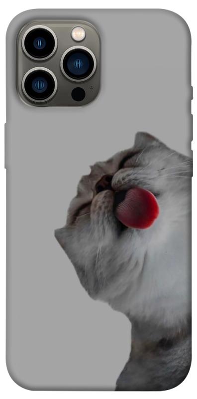 Чохол itsPrint Washing time для Apple iPhone 13 Pro Max (6.7"), тварини, купити оптом з доставкою