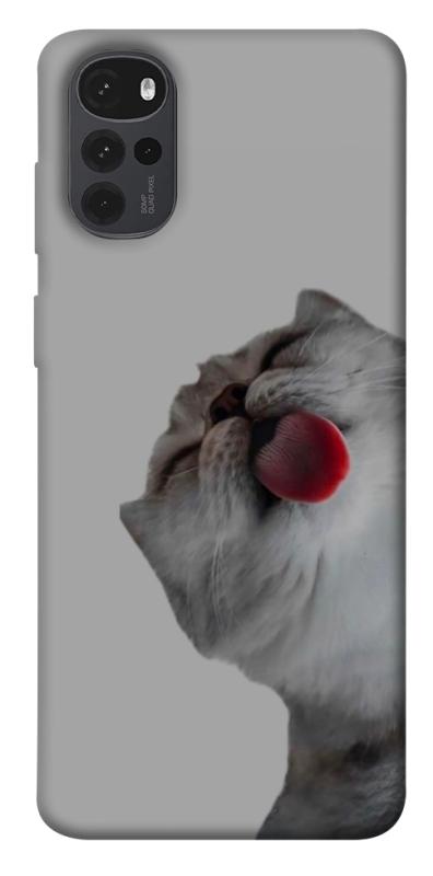 Чехол itsPrint Washing time для Motorola Moto G22, животные, купить оптом с доставкой