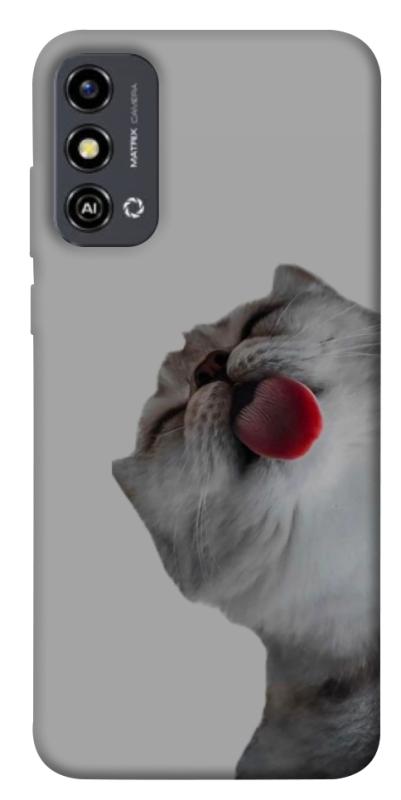 Чехол itsPrint Washing time для ZTE Blade A53, животные, купить оптом с доставкой