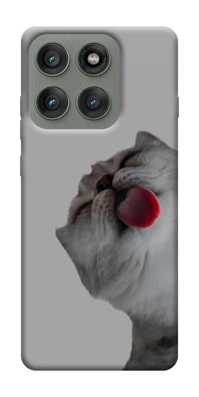 Чехол itsPrint Washing time для Motorola Edge 60 Pro, животные, купить оптом с доставкой